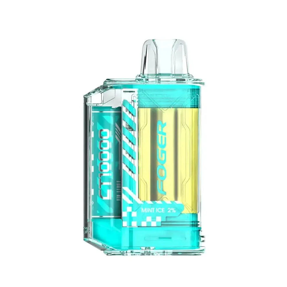 FOGER CT10000 DISPOSABLE - VapeOwls