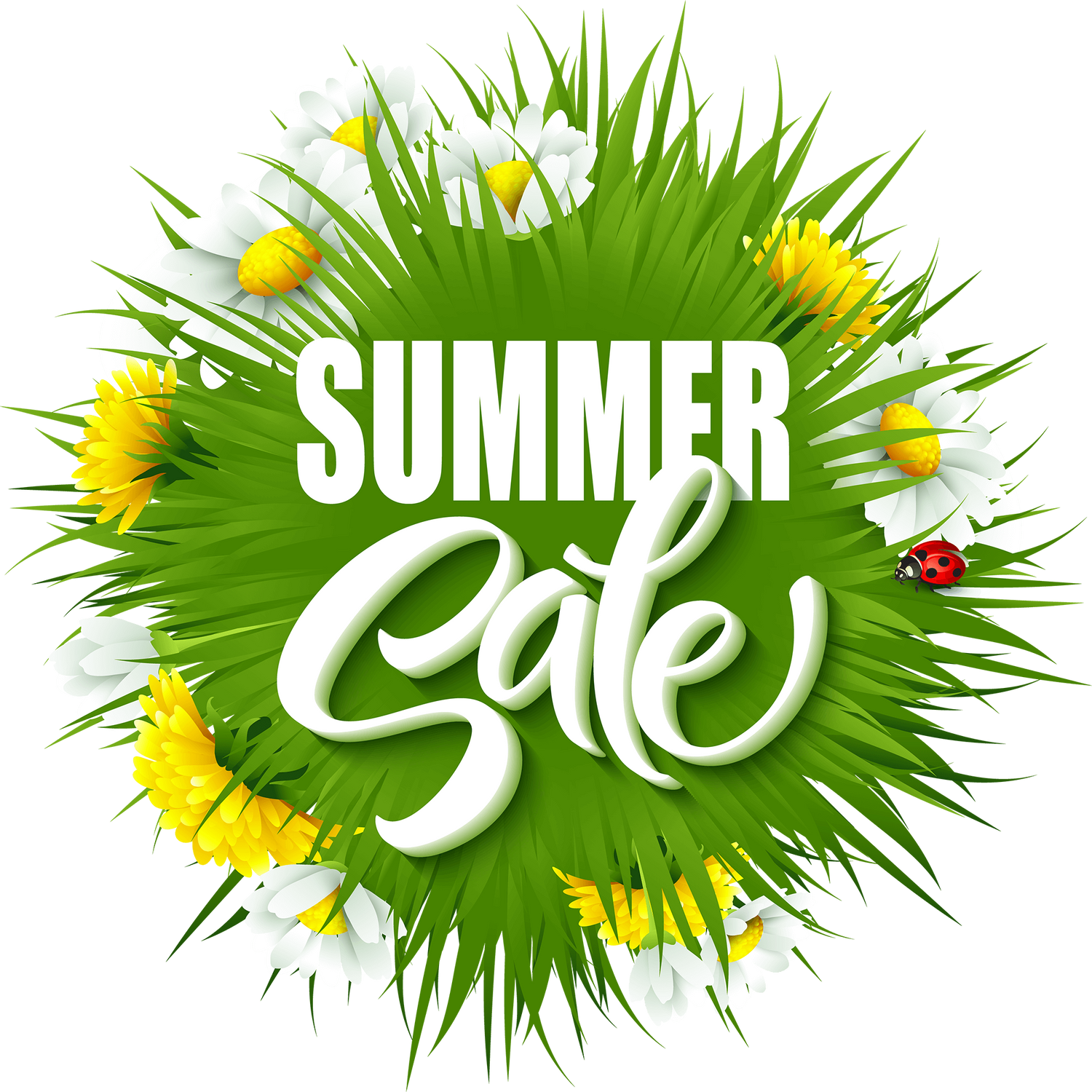 Annual Sale — Disposable Vapes from $9.99 | VapeOwls