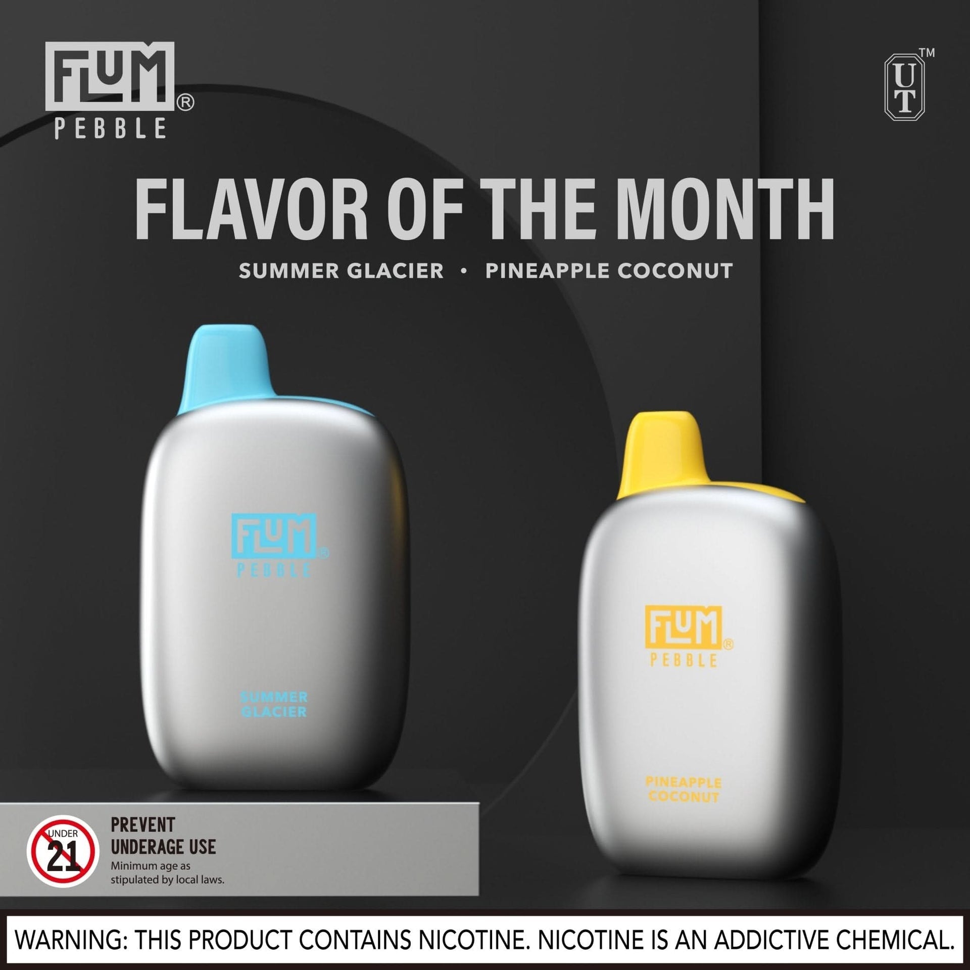 FLUM PEBBLE DISPOSABLE VAPE 5% NICOTINE - B & J Wholesale