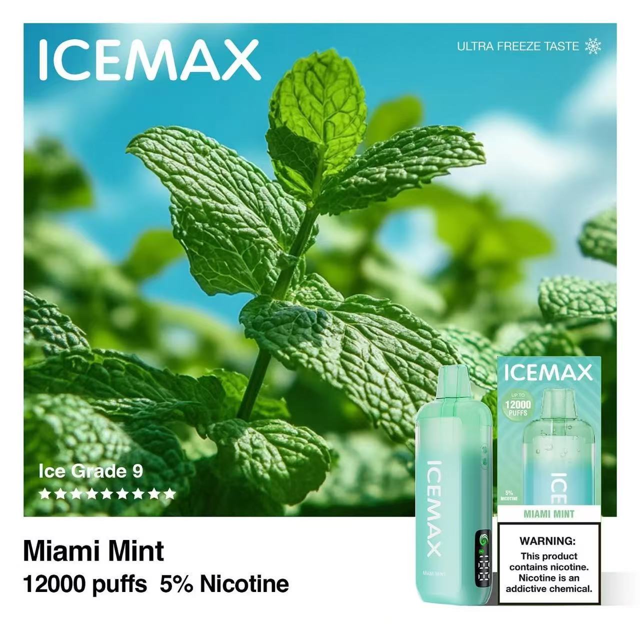 ICEMAX 12000 BUNDLE (1O PCS) - B & J Wholesale
