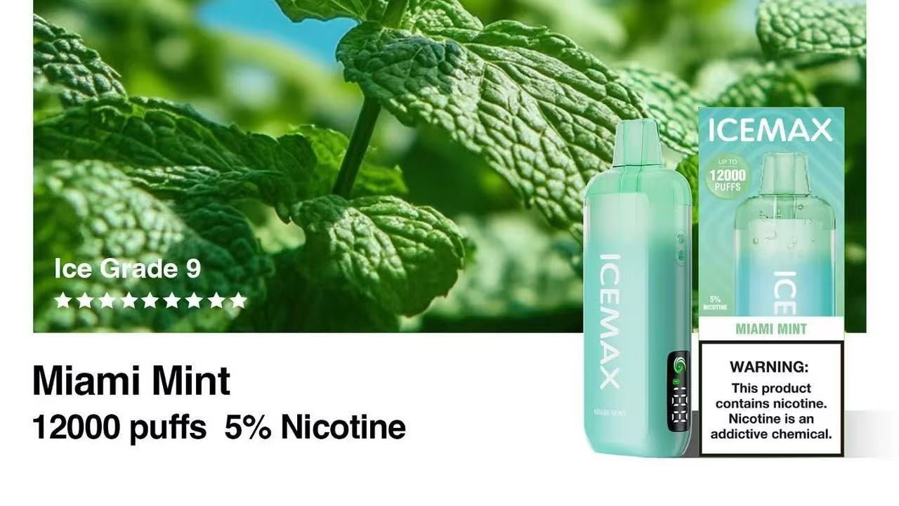 ICEMAX 12000 Puffs - B & J Wholesale