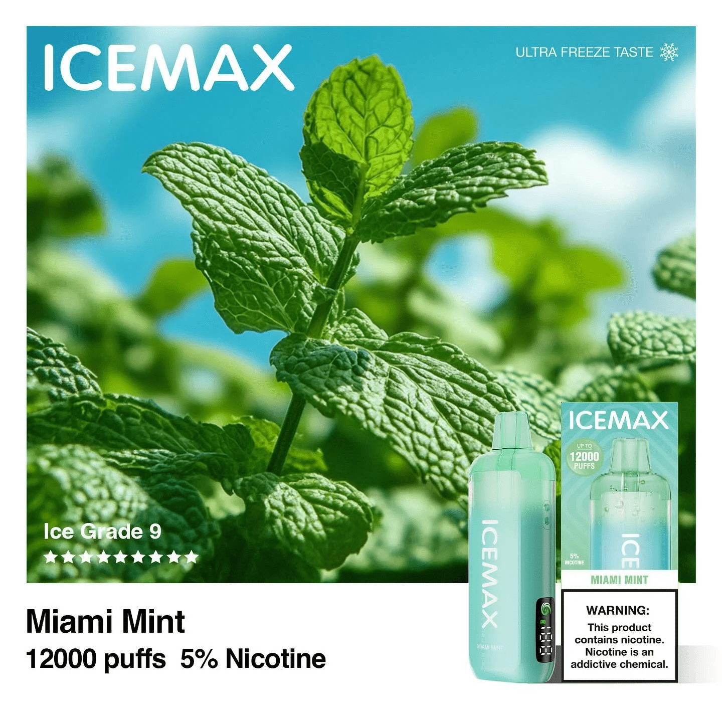 ICEMAX 12000 Puffs - B & J Wholesale