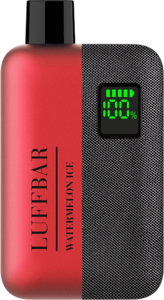 LUFF BAR TT9000 with Digital Display - vapeowls